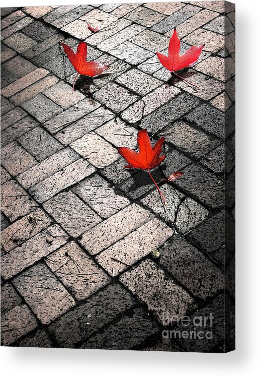 Leaves Acrylic Print featuring the photograph Three Red Leaves by Ellen Cotton