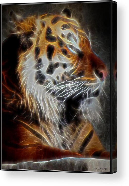 Tiger Acrylic Print featuring the painting Tiger At Rest by Jon Volden