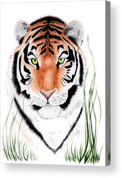 Tiger Acrylic Print featuring the painting Tiger Tiger Where by Joette Snyder