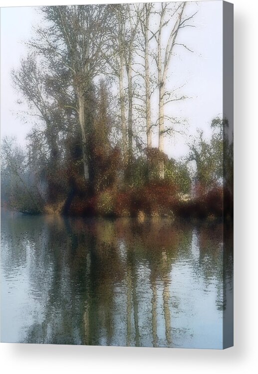 Pacific Acrylic Print featuring the photograph Tree and Reflection by Mamoun Sakkal