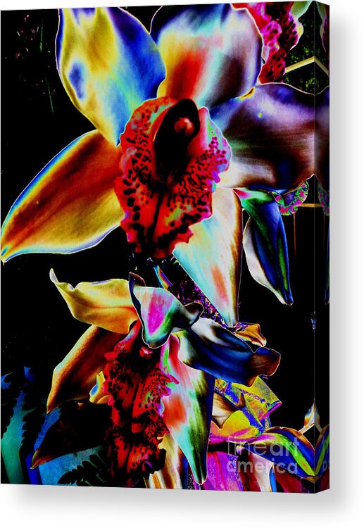 Tropical Orchids Acrylic Print featuring the photograph Tropical Orchids by Tim Townsend