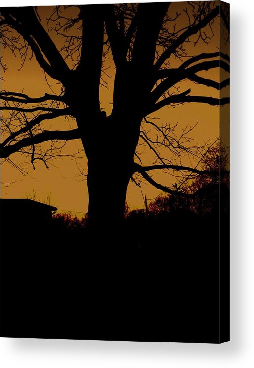 Twilight Acrylic Print featuring the photograph Twilight by Christian Rooney