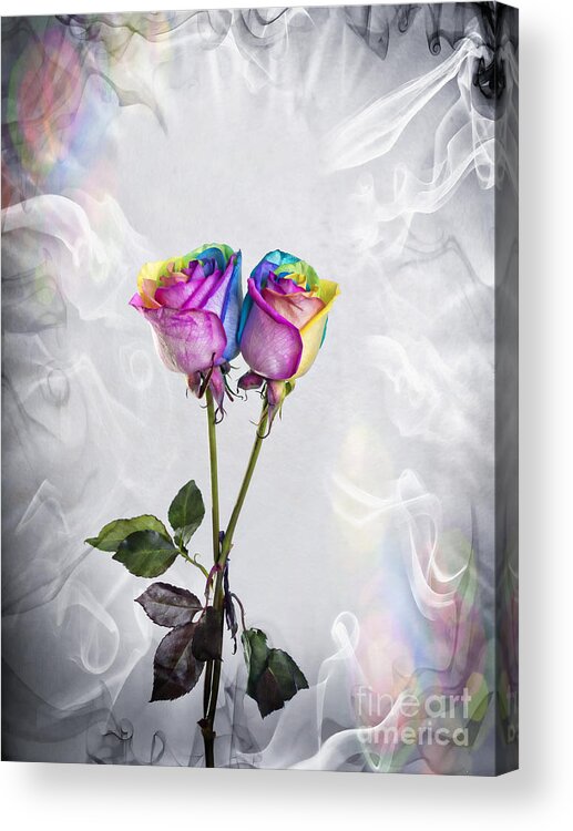 Digital Art Colorful Kaleidoscope  Roses Acrylic Print featuring the photograph Two entwined Kaleidoscope roses by Linda Matlow