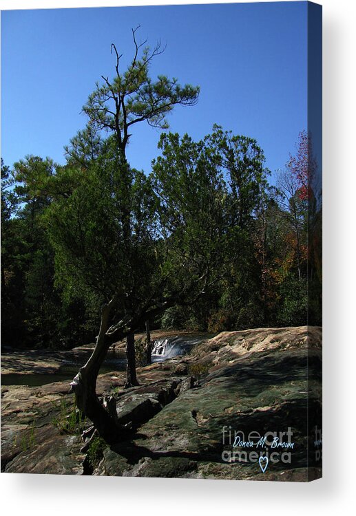 Park Acrylic Print featuring the photograph Unusual by Donna Brown