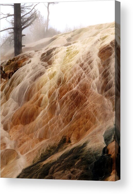Veil Acrylic Print featuring the photograph Veil of Color by Tranquil Light Photography