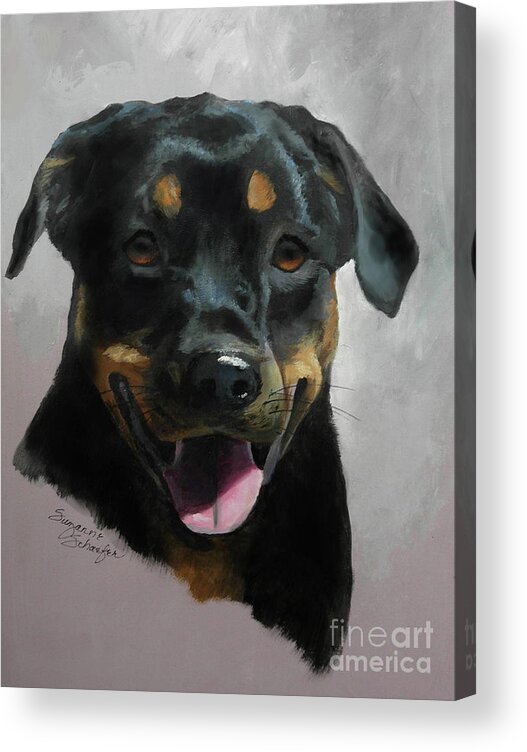 Rottie Acrylic Print featuring the painting Violetta by Suzanne Schaefer