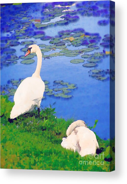 Geese Acrylic Print featuring the photograph Watchful by Diane Miller