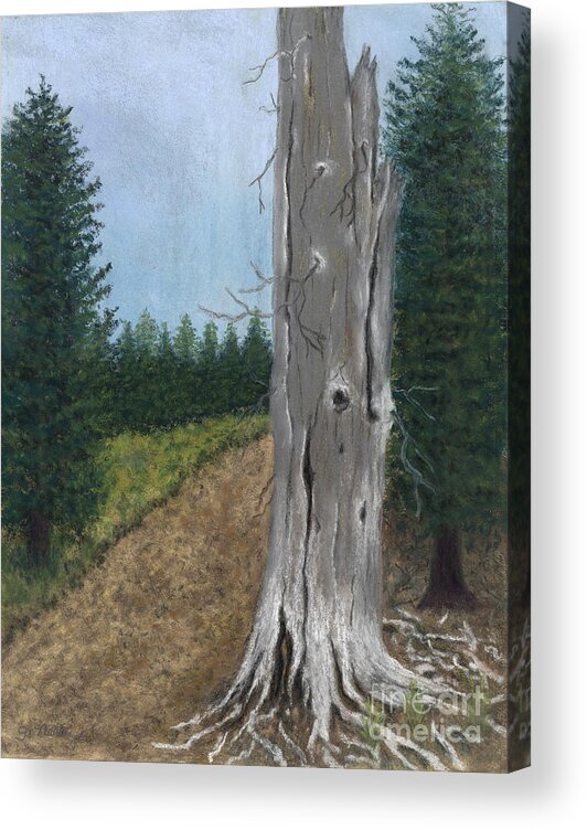 Tree Acrylic Print featuring the painting Weathered Trunk by Ginny Neece