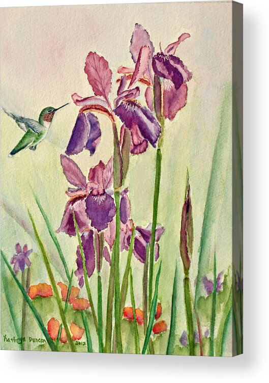 Hummingbird Acrylic Print featuring the painting Wild Iris Nectar by Kathryn Duncan