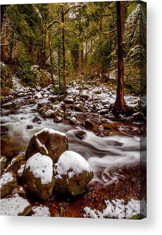 Oregon Acrylic Print featuring the photograph Winter Stream by Scott Law
