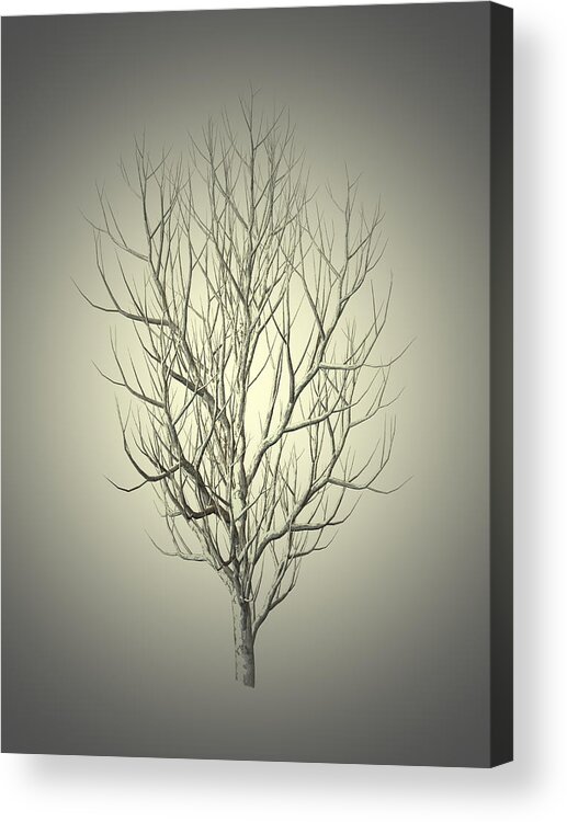 Winter Acrylic Print featuring the painting Winter Tree 5 by Movie Poster Prints