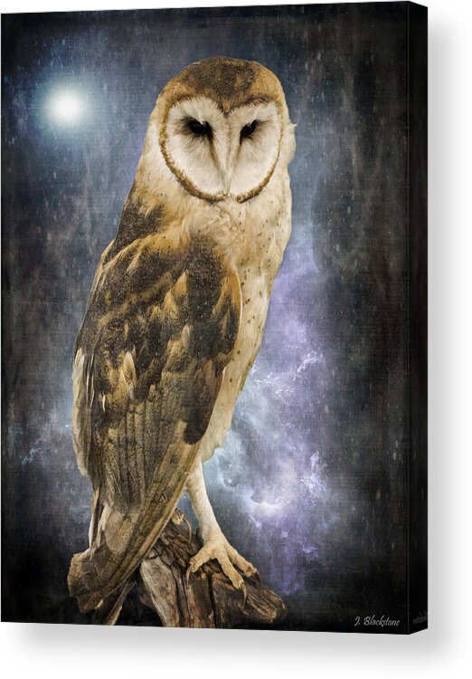 Wise Old Owl Acrylic Print featuring the photograph Wise Old Owl - Image Art by Jordan Blackstone by Jordan Blackstone