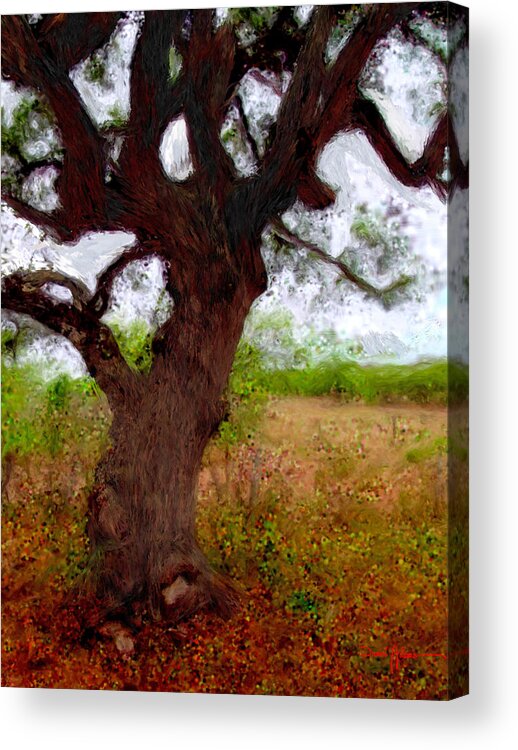 Tree Acrylic Print featuring the painting Wise Old Tree by Daniel Adams by Daniel Adams