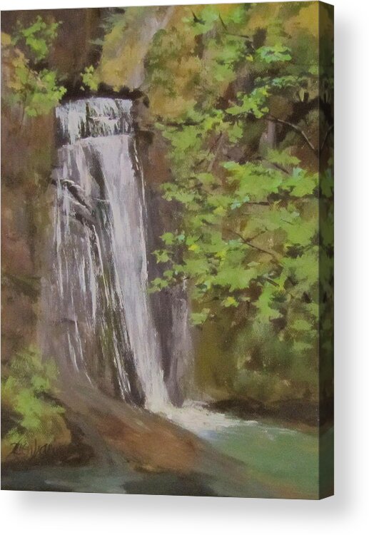 Original Acrylic Print featuring the painting Wolf Creek Falls by Karen Ilari