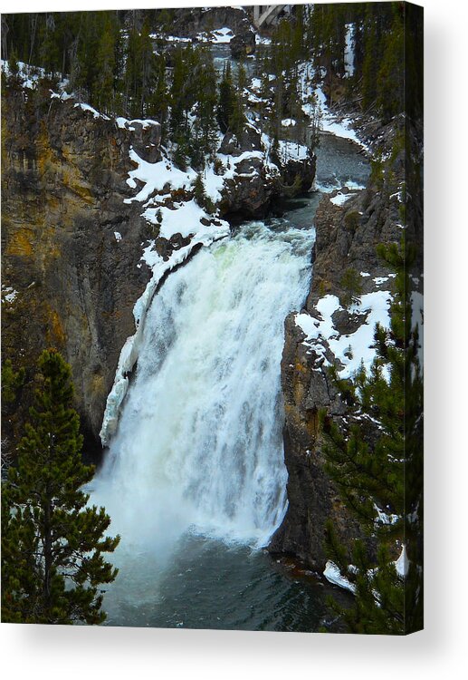 Upper Falls Acrylic Print featuring the photograph Yellowstone Upper Falls in Spring by Michele Myers