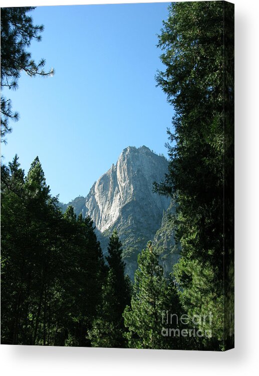 Yosemite National Park Acrylic Print featuring the photograph Yosemite Park by Mini Arora