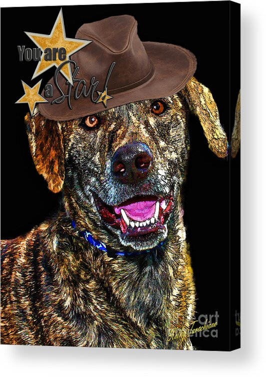 Dog Acrylic Print featuring the digital art You Are A Star by Kathy Tarochione