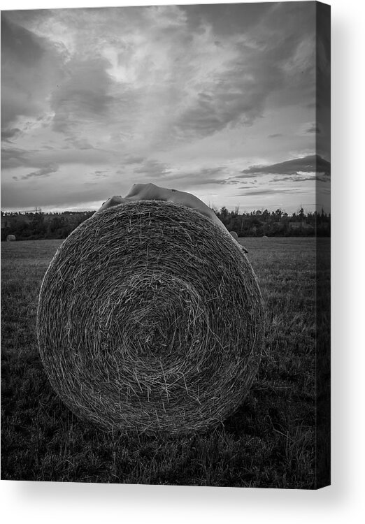 Black And White Acrylic Print featuring the photograph You Reap What You Sow by Blue Muse Fine Art