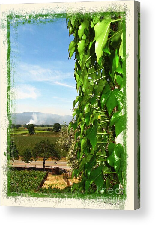 Napa Acrylic Print featuring the photograph Napa Looking Out #1 by Joan Minchak