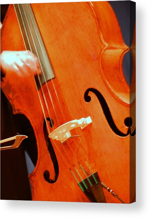 Bass Acrylic Print featuring the photograph Upright Bass 2 #1 by Anita Burgermeister
