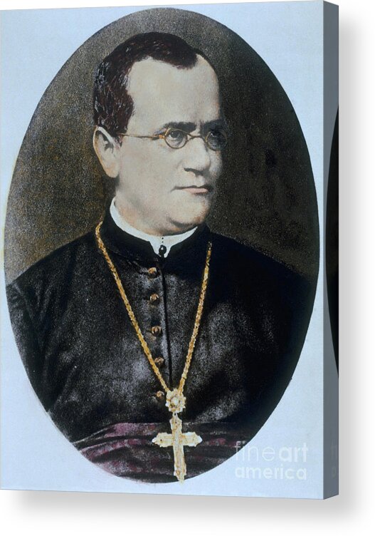 Science Acrylic Print featuring the photograph Gregor Mendel, Father Of Genetics #4 by Science Source