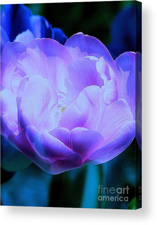 Tulip Acrylic Print featuring the photograph Avatar's Tulip by Rory Siegel