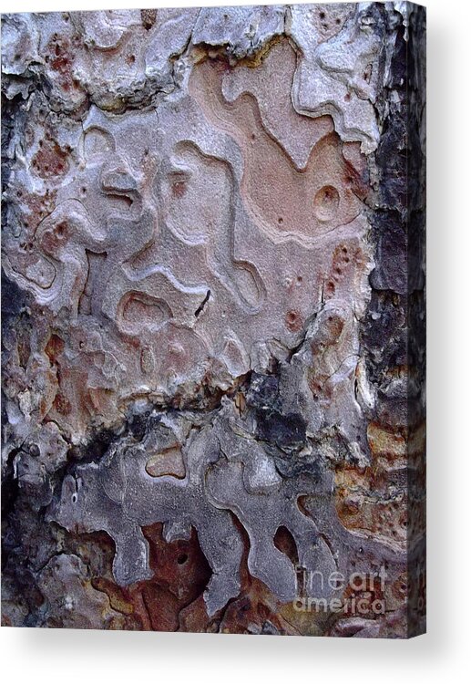 Tree Acrylic Print featuring the photograph Bark Patterns by Janeen Wassink Searles
