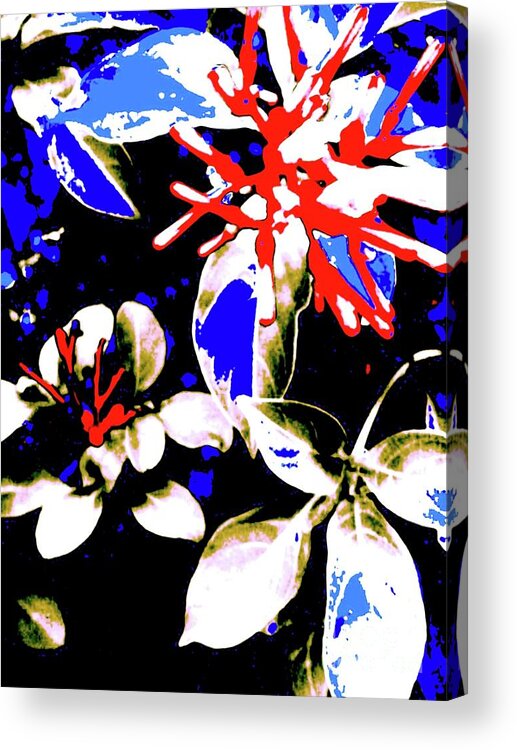 Digital Art Acrylic Print featuring the digital art Bee Flowers 6 by Nina Kaye