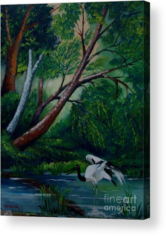 Jaribu Bird Of Costa Rica Acrylic Print featuring the painting Bird in the swamp by Jean Pierre Bergoeing