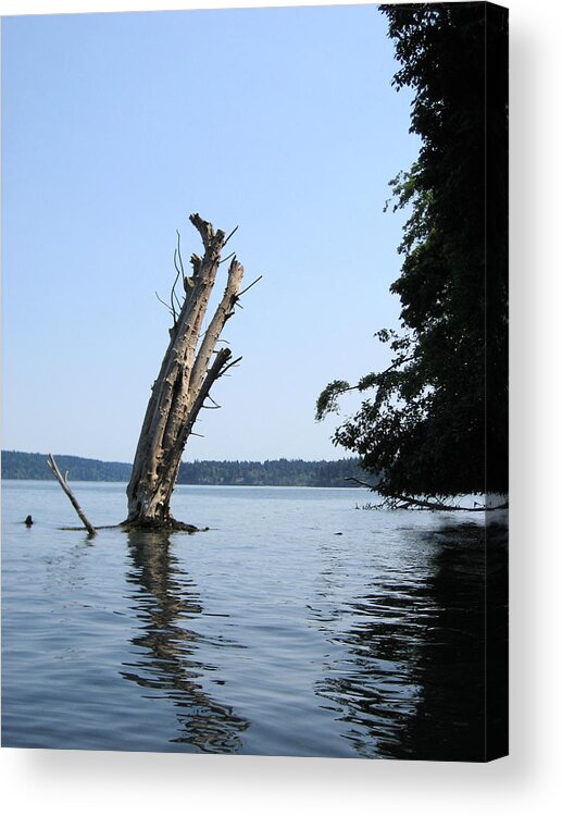 Deadhead Acrylic Print featuring the photograph Boaters Nightmare by Kym Backland