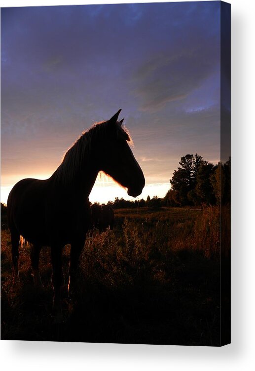 Belgium Acrylic Print featuring the photograph Call it a day by Peggy McDonald
