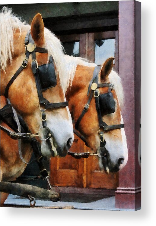 Horse Acrylic Print featuring the photograph Clydesdale Closeup by Susan Savad