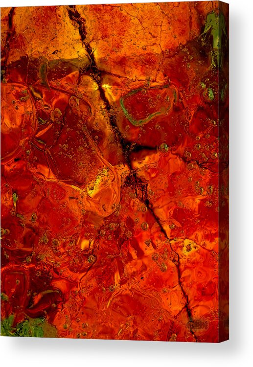 Autumnal Acrylic Print featuring the photograph Colors of Nature 3 by Sami Tiainen