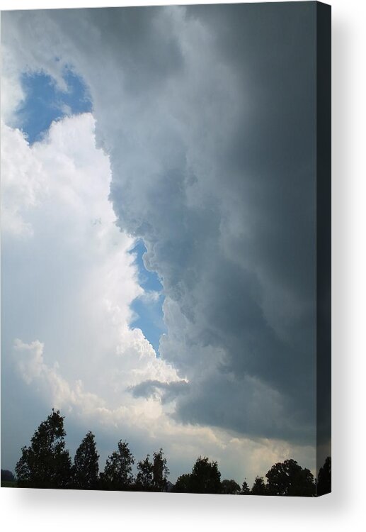 Nature Acrylic Print featuring the photograph Confrontation by Peggy King