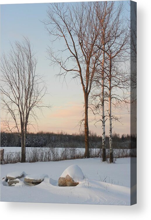 Trees Acrylic Print featuring the photograph Crisp Winter Evening by Peggy McDonald