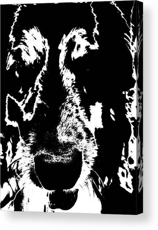 Black And White Acrylic Print featuring the photograph Dog Abstract black and white by Renate Wesley