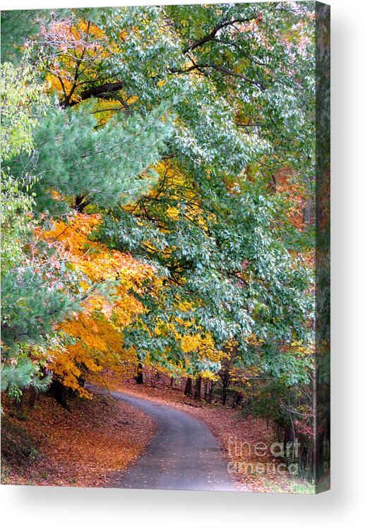 Green Acrylic Print featuring the photograph Fall Colored Country Road by Joan McArthur