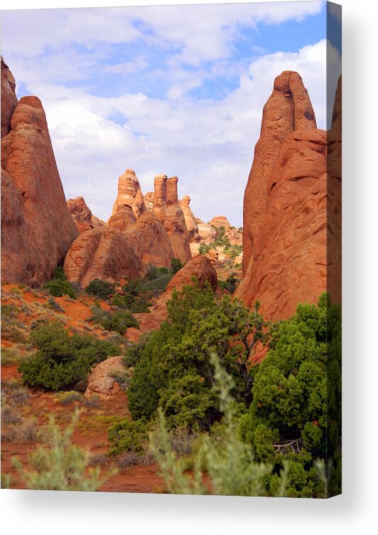 Arches National Park Acrylic Print featuring the photograph Fins by Marty Koch