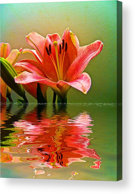  Acrylic Print featuring the photograph Flooded Lily by Bill Barber