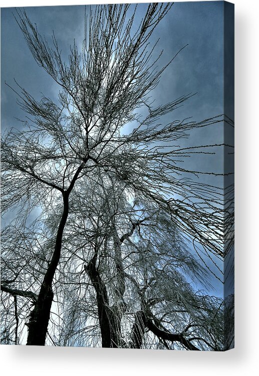 North America Acrylic Print featuring the photograph Freezing Rain ... #2 by Juergen Weiss