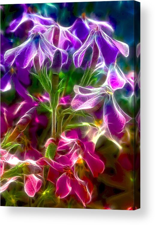 Flowers Acrylic Print featuring the photograph Ghosting Blooms by Bill and Linda Tiepelman