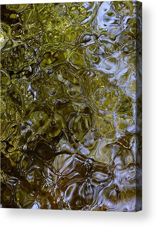 Brown Trout Acrylic Print featuring the photograph Green Dream by Joseph Yarbrough