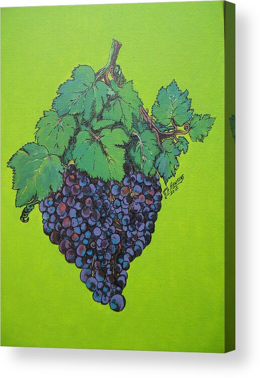 Grape Acrylic Print featuring the painting Green Grapes by Timothy Hawkins