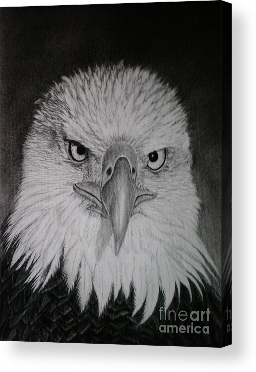 Eagle Acrylic Print featuring the drawing I am watching you by Paula Ludovino