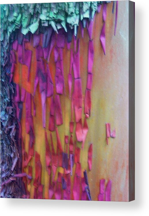 Nature Acrylic Print featuring the digital art Imagination by Richard Laeton