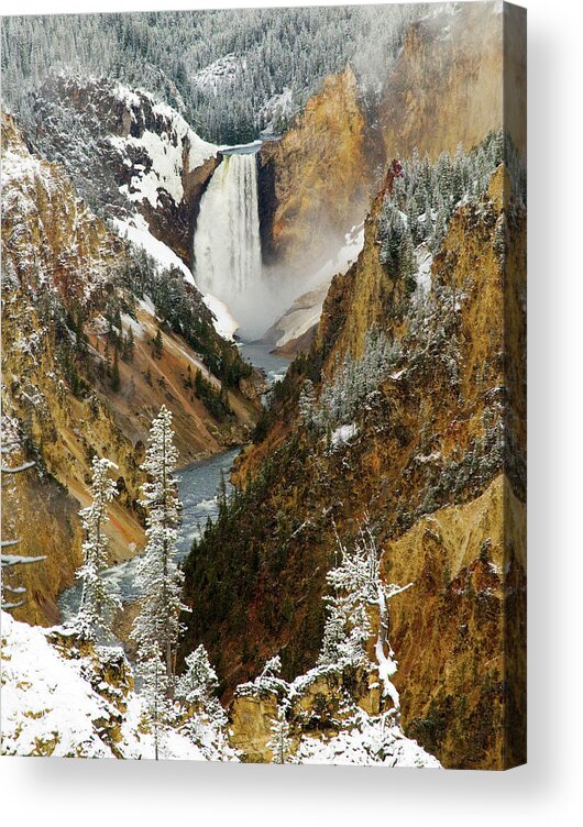 Yellowstone Acrylic Print featuring the photograph Lower Falls by Steve Stuller