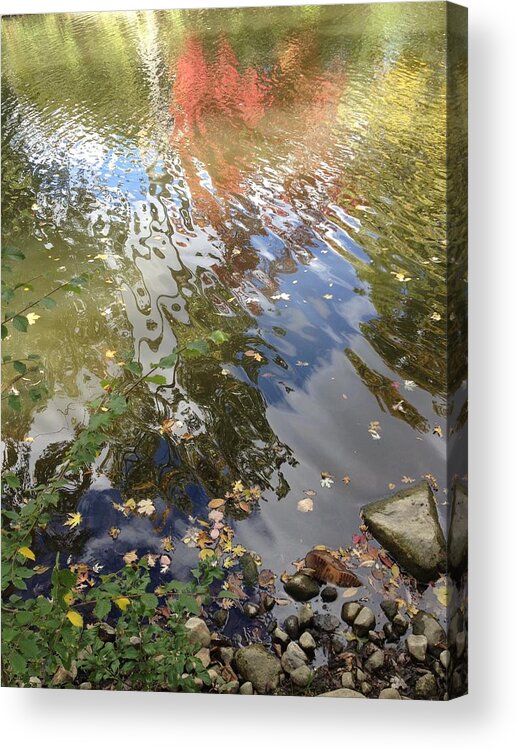 College Campus Acrylic Print featuring the photograph Orange by Joseph Yarbrough