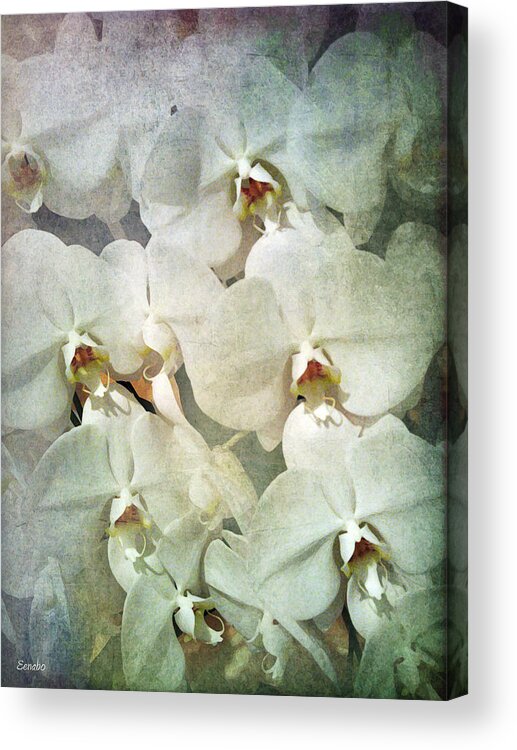 Orchid Acrylic Print featuring the photograph Orchids by Eena Bo