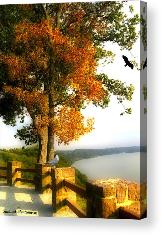 Landscape Acrylic Print featuring the photograph Overlook by Richard Montemurro