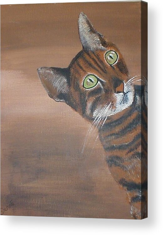 Cat Acrylic Print featuring the painting Peek-a-Boo by Denise Hills